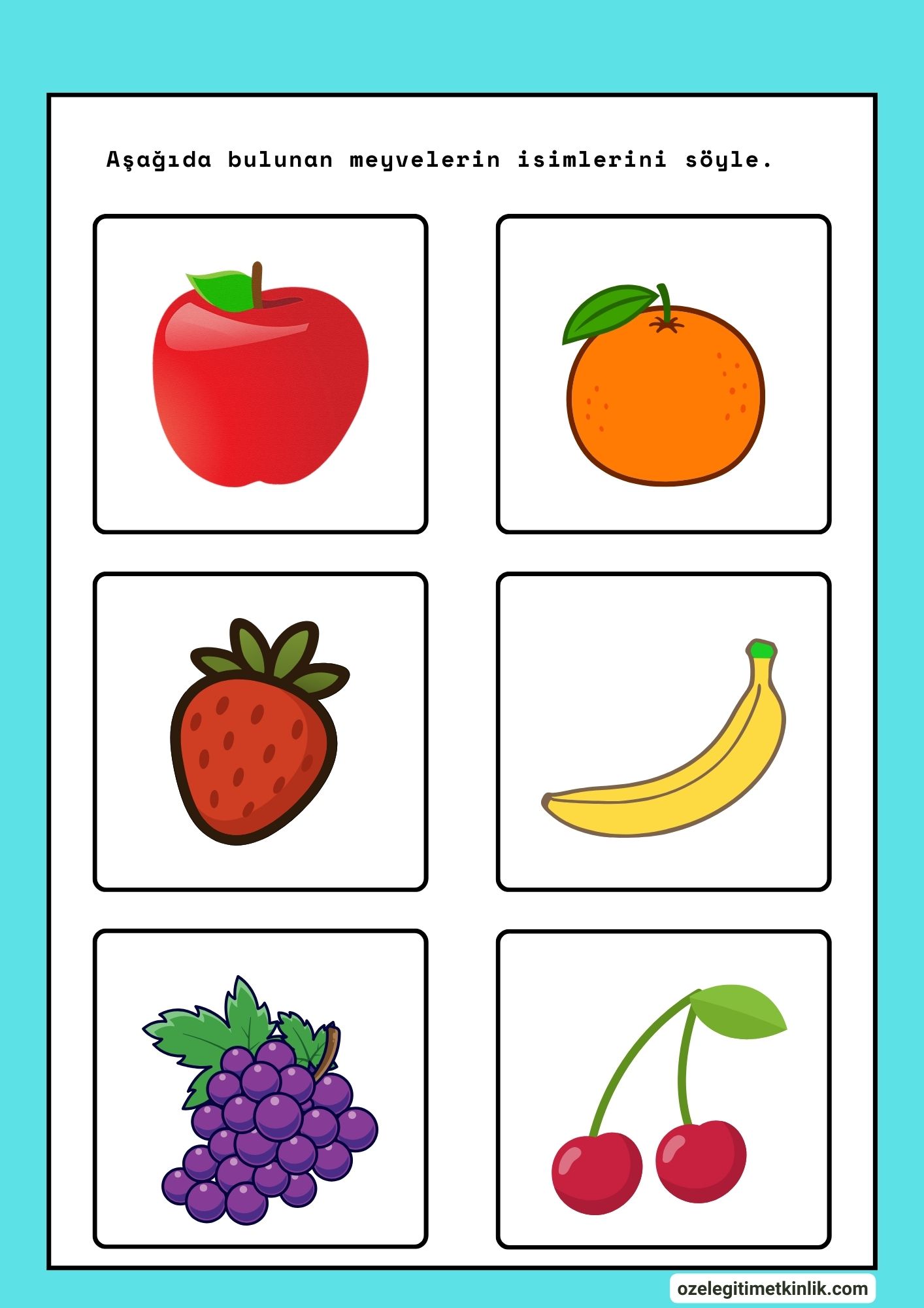 Meyveler Nesne Kartları (ücretsiz/indir)