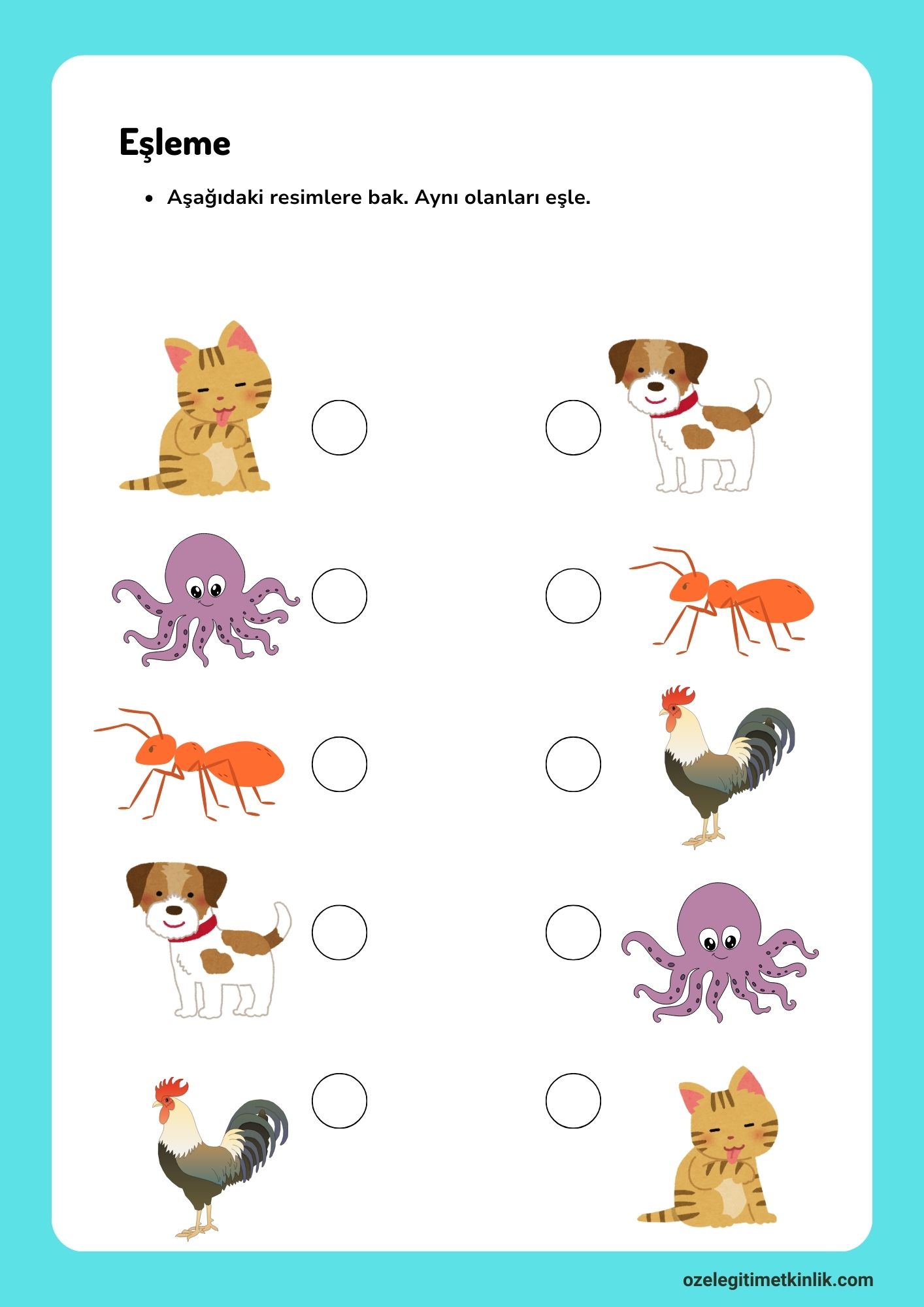 Özel Eğitim Eşleme Çalışma Kağıtları (PDF) Aynısını Bul