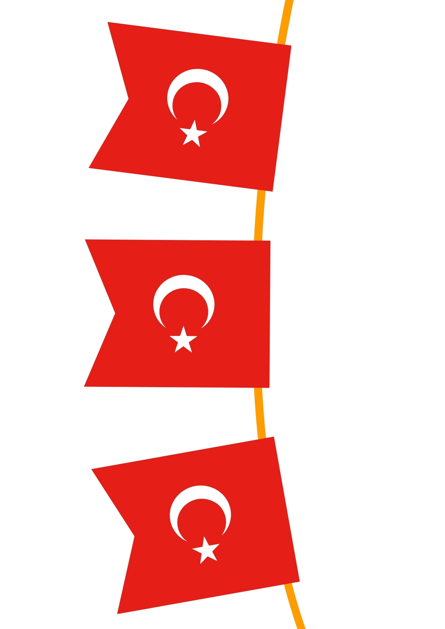 Türk Bayrağı Flama